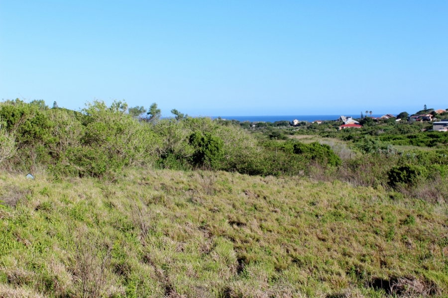 0 Bedroom Property for Sale in Forest Downs Eastern Cape